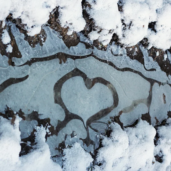 Heart shaped frost pattern in a puddle — Stock Photo, Image