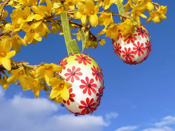 Easter eggs, hanging on forsythia branch — Stock Photo, Image