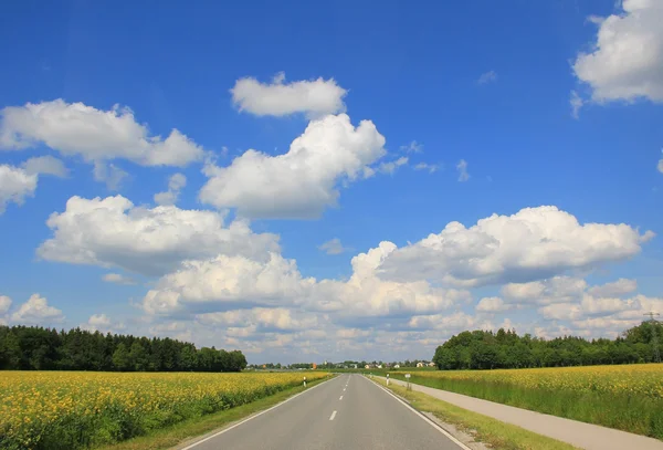 Tarım arazisi ile düz countryroad — Stok fotoğraf