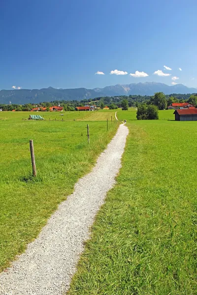 Пешеходная тропа по зеленому лугу, к горной гряде, баварская — стоковое фото