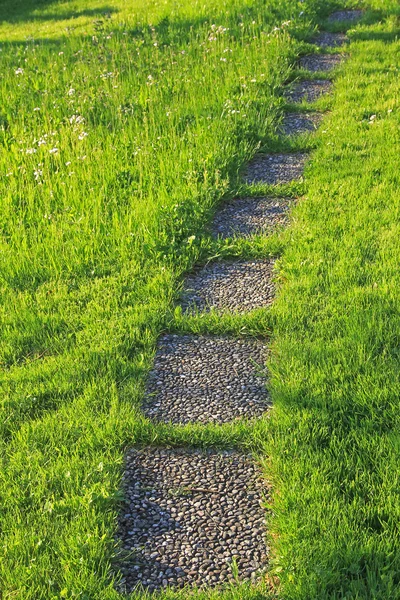 Tiles walkway in the lawn — Stock Photo, Image