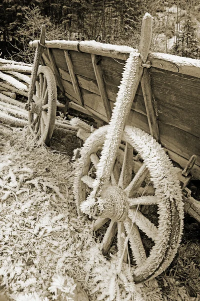 Історичний візок сіна, покритий крижаними голки — стокове фото