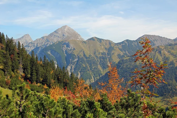 Autumnal karwendel valley and mountain range, austria — Stock Photo, Image