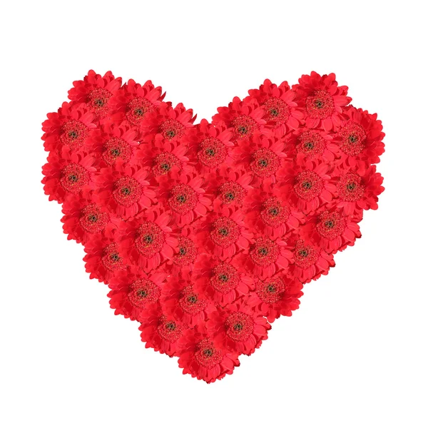 Corazón de flor roja hecho de margaritas gerber — Foto de Stock