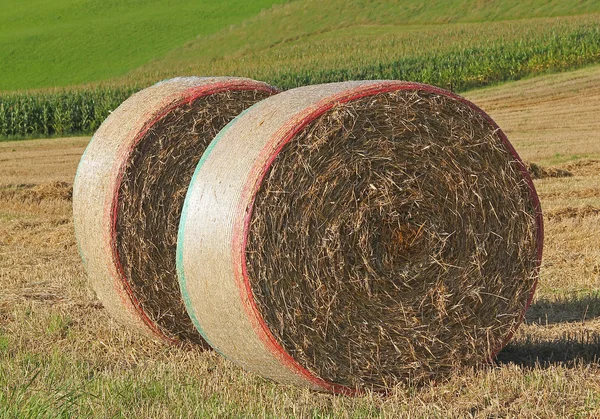 フィールドに 2 つの干し草の俵 — ストック写真