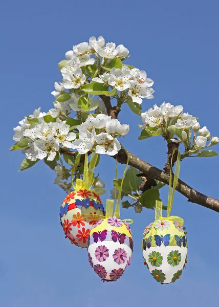 Handcrafted easter eggs on pear tree branch — Stock Photo, Image