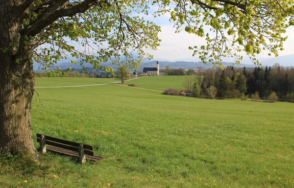 Alte Linde und Bank, Wallfahrtskirche verwelkt — Stockfoto