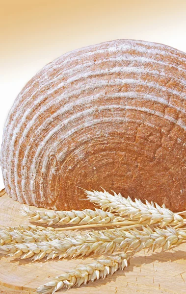 Pão e espigas de trigo — Fotografia de Stock