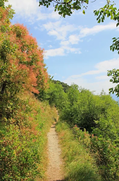 Wandelpad in het Italiaanse bergen — Stockfoto