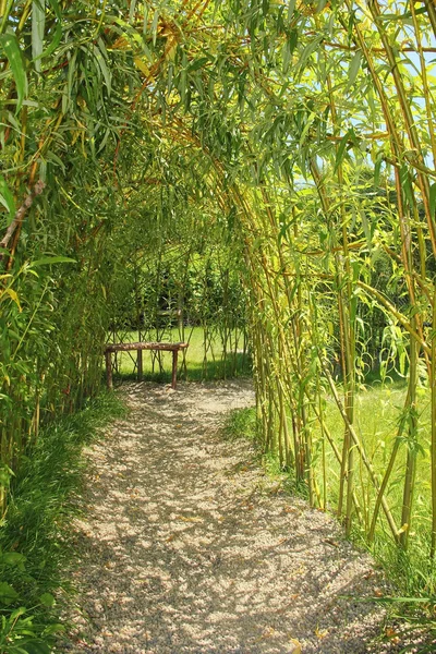 Obloukem s bambusovými proutky — Stock fotografie