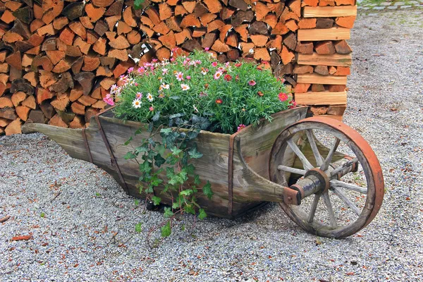 Wooden pushcart, planted with summer flowers — Stock Photo, Image
