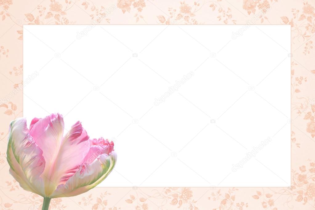nostalgic floral frame with beautiful tulip flower tricolor