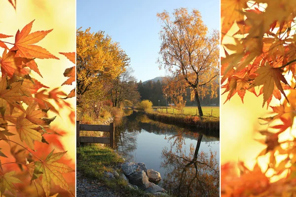 Trzyosobowy - spokojny potoku i klon jesiennych liści — Zdjęcie stockowe