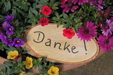 Teşekkürler, bir Saksının üzerine dilimle ağaç