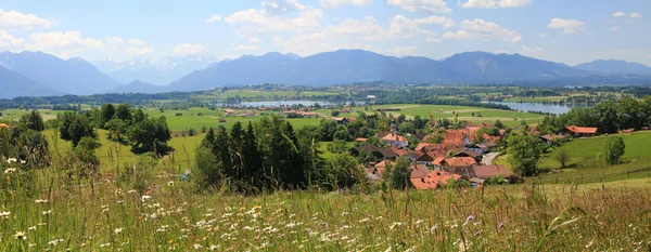 Vue panoramique sur les contreforts bavarois, avec prairie de fleurs sauvages et la — Photo