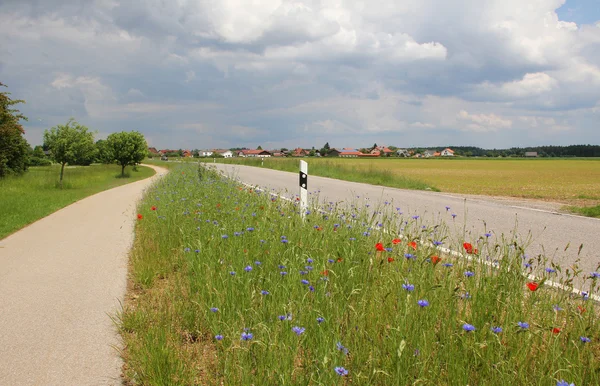 Сельская дорога и велосипедный путь — стоковое фото