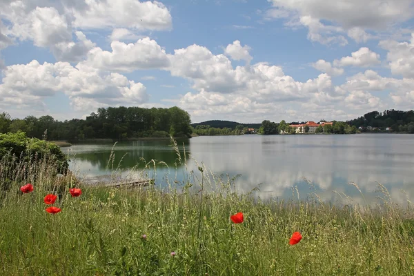 Paisagem pitoresca no lago seeon, margem do lago com papoilas vermelhas — Fotografia de Stock