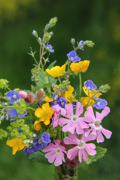 Tiny wildflower posy — Stock Photo, Image