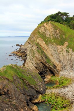 tortu ile kayalık sahil lulworth