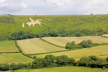 beyaz at osmington, tarihi şekil