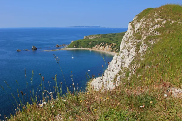 View to mupe bay, lulworth, and Крутые скалы — стоковое фото