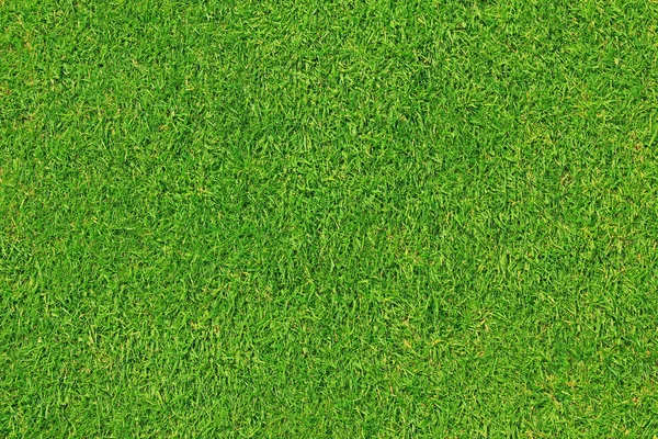 Mowed grassland — Stock Photo, Image