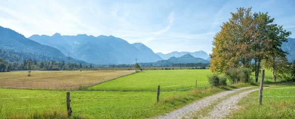 Moor arazisinde bisiklet yolu Murnauer Moos, Alpler manzaralı, sonbaharda üst bavyera