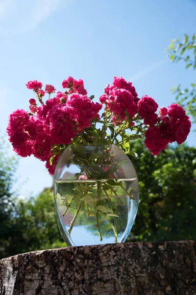 玻璃花瓶 上有粉色的灌木玫瑰 在花园里的树干上 蓝天背景 — 图库照片