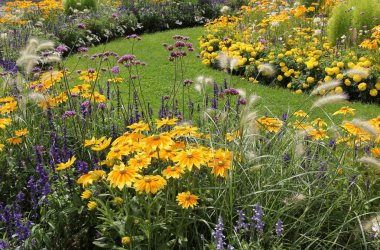 sarı ve mavi flowerbed Park