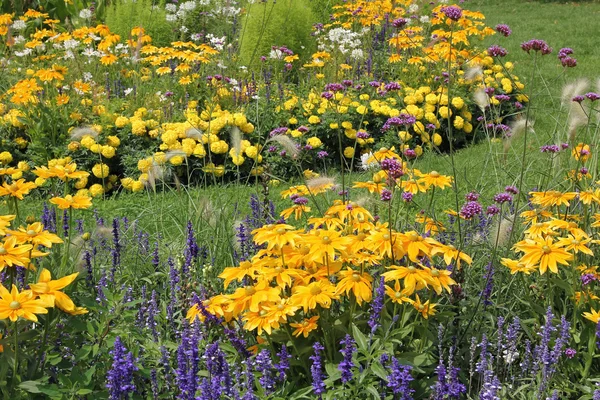 Bonito canteiro de flores amarelo e azul — Fotografia de Stock