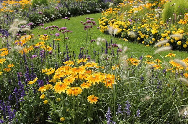 เตียงดอกไม้สีเหลืองและสีฟ้าในสวนสาธารณะ — ภาพถ่ายสต็อก