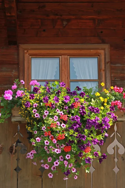 Finestra fattoria con scatola di fiori colorati — Foto Stock