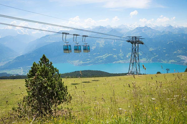 Prachtig Alpenlandschap Met Niederhorn Kabelbaan Uitzicht Thunersee Groene Bergweide Met — Stockfoto