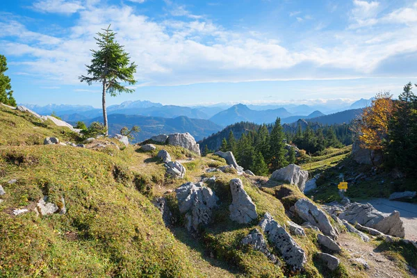 Idyllischer Bergwanderweg Kampenwand Alpine Landschaft Herbst Chiemgauer Alpen Oberbayern — Stockfoto