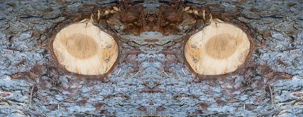 二つの目を持つ粗い木の樹皮 鏡像屋外 — ストック写真