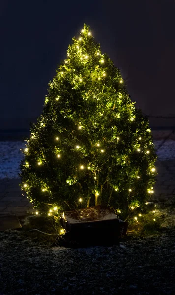 Pequeño Árbol Navidad Verde Con Cadena Ligera Vertical —  Fotos de Stock