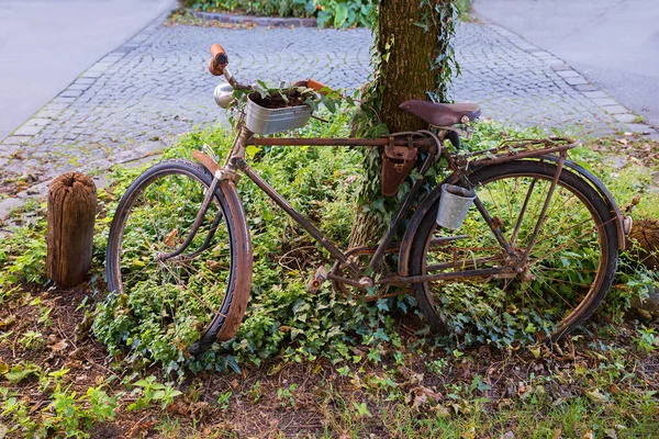 Old Brown Rusty Bicycle Leaning Tree Stem Street Scenery — Stock Photo, Image