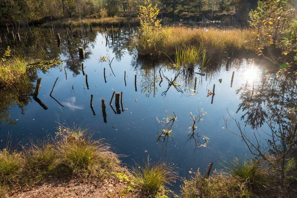 Rybník Blatech Podzimní Krajina Moosham Horní Bavorsko — Stock fotografie