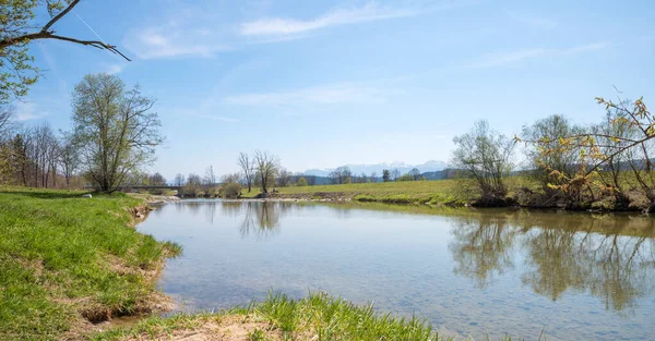 Riparian Zone Mangfall River Bad Aibling Upper Bavarian Landscape Spring — ストック写真