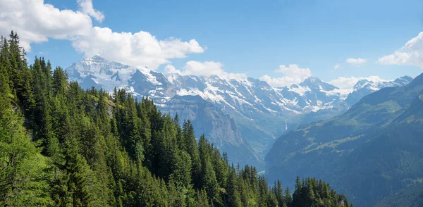 Mountain Panorama Bernese Alps Beautiful View Schynige Platte — Stockfoto