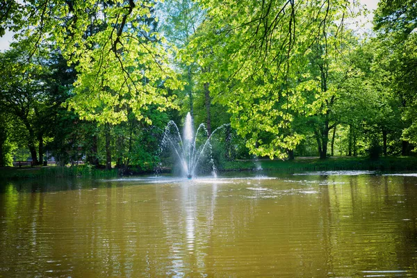 温泉ガーデンで噴水のある湖悪いアイビング 春に緑の枝を通して見る — ストック写真