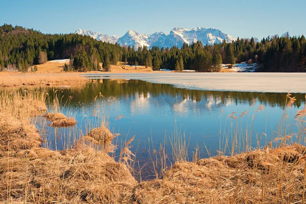 Гарне Болотисте Озеро Ґарольді Гірським Краєвидом Баварський Краєвид Ранньою Весною — стокове фото