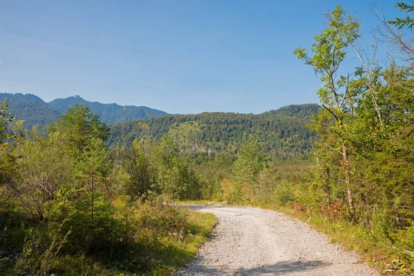 Radweg Durch Naturschutzgebiet Eschenloher Moos Moorlandschaft Oberbayern Mit Bergblick — Stockfoto