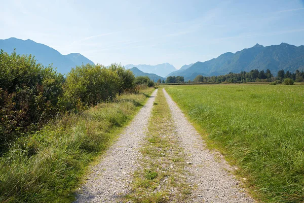 Bike Route Moor Landscape Ohlstadt Nature Reserve Upper Bavaria Spring — Stock Photo, Image