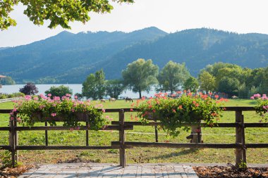 Tahta çitler, çiçek saksıları, çiçek açan sardunyalar, Schliersee Gölü manzarası ve Bavyera Dağları