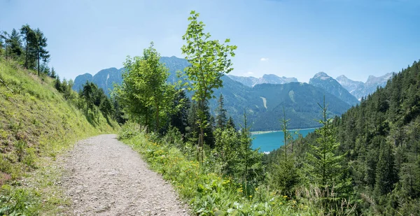 Hiking Route Lake Achensee Austrian Alps Summer — Stock Photo, Image