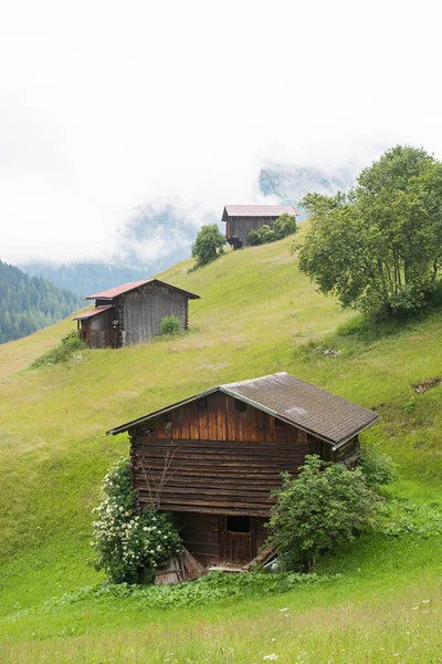 Grüner Hang Mit Holzscheunen Alpine Landschaft Schweiz Vertikale Aufnahme — Stockfoto