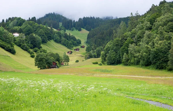 緑の丘と木の納屋 高山の風景スイス 近くの観光リゾート Klosters Monbiel — ストック写真