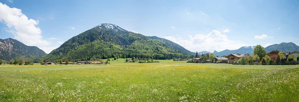Weite Grüne Frühlingslandschaft Rottachtal Wildblumenwiese Und Blick Auf Den Wallberg — Stockfoto