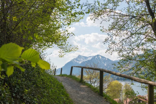 Wanderweg Weinberg Blick Auf Die Brecherspitze Quelllandschaft Tourismusort Schliersee — Stockfoto